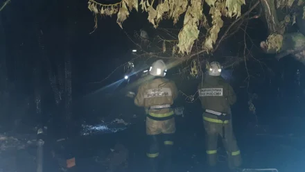 В Астраханской области при пожаре погибли супруги