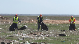 В Астраханской области Россельхознадзор обнаружил незаконную свалку на площади 1,5 га