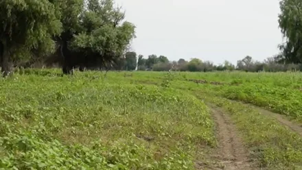 В Астраханской области завершился пожароопасный сезон