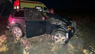 Под Астраханью в ДТП с лошадью пострадали несколько человек