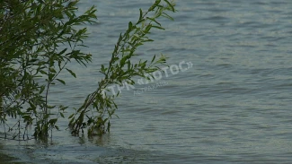 В Астраханской области погиб мужчина во время водной прогулки