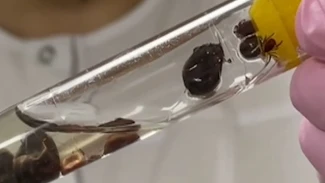 В Астраханском госуниверситете начали обучения по новой программе