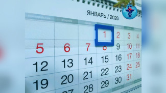 Как будут работать астраханские медучреждения на новогодние праздники