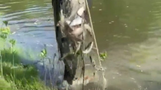 В Астрахани на реке Царев полицейские задержали браконьера