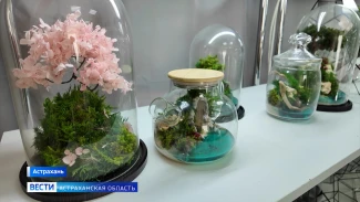 В Астрахани набирают популярность флорариумы 