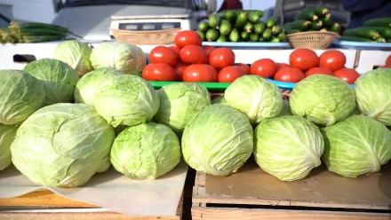 Традиционная сельхозярмарка пройдёт в эту субботу в Астрахани