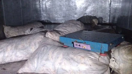 Купил, нашёл – еле ушёл: астраханец перевозил 8 мешков с рыбой без документов