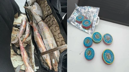 У астраханца нашли осетров и чёрную икру без документов