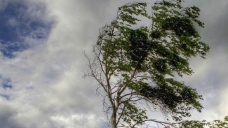 В Астраханской области 24 марта прогнозируется усиление ветра