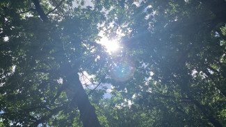 Какая погода ждет астраханцев на этой неделе