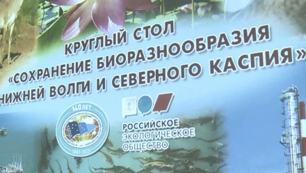 В Астраханской области обсудили вопросы восполнения биоресурсов Каспия