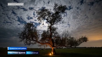 В Астрахани уничтожили "космическое" дерево