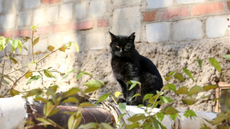 В Астрахани поддержали повышение штрафов за некачественные услуги ЖКХ