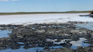 Астраханский суд взыскал более 1 млн рублей с нарушителей за порчу сельхозугодий