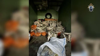 Астраханца оштрафовали за приобретение и хранение 9,5 тонн частика без маркировки