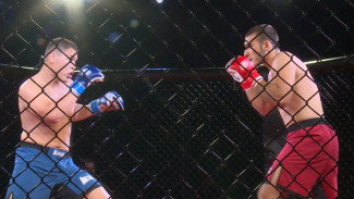 В Астрахани прошёл турнир по профессиональному панкратиону