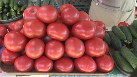 Товары первой необходимости в Астрахани снова подорожали