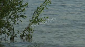 В Астрахани утонул мужчина