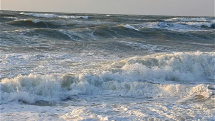 Комитет по гидрометеорологии Каспийского моря станет платформой к уменьшению обмеления водоема