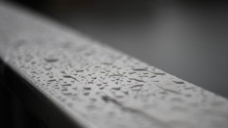 В Астраханской области 2 апреля прогнозируется небольшой дождь