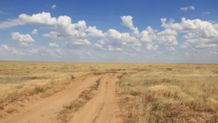 Двое пропавших туристов из Пензы нашлись под Астраханью