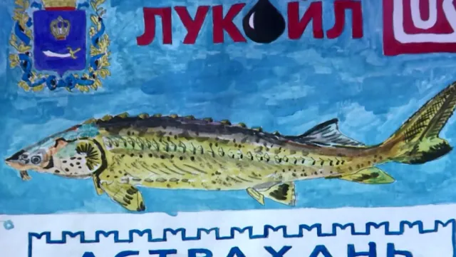 30 декабря в Астрахани подведут итоги экоконкурса "Чистый взгляд"