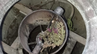 В Астраханской области вандалы затушили Вечный огонь 