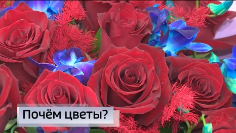 Сколько стоит букет цветов сейчас в Астрахани?