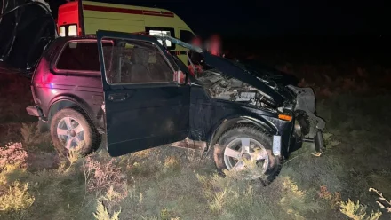 Под Астраханью в ДТП с лошадью пострадали несколько человек