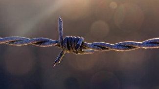 Астраханки отправятся на 8 лет в колонию за избиение и убийство подруги