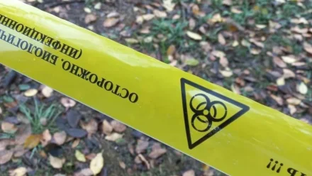 В ЗАТО Знаменске Астраханской области выявлен очаг бешенства