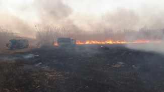 На участке Астраханского заповедника ликвидируют загорание тростника