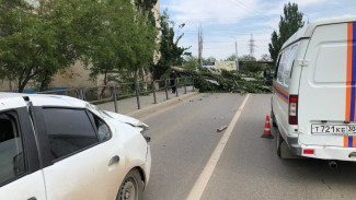 В Астрахани спасатели убрали дерево, упавшее на автомобиль