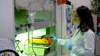 В Астраханском госуниверситете реализуют проект «Море возможностей» - сияние Каспийской науки»