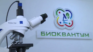 Юные астраханские учёные создают светящиеся в темноте растения