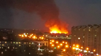 Крупное возгорание камыша тушат на Аэропортовском шоссе в Астрахани