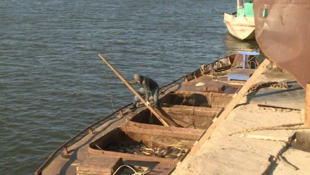 Астраханские промышленные рыбаки одобряют запрет на вылов воблы 