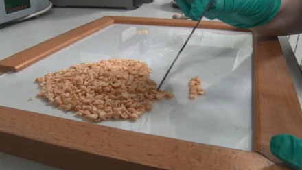 В Камызякской районной больнице проверили крупы на качество и безопасность