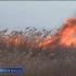 В Астраханской области зафиксировано более 470 возгораний сухой травы и камыша