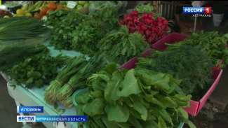 Ассортимент на рынках Астрахани приходом весны расширяется, уже начали появляться первые местные фрукты овощи и зелень
