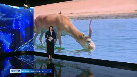В Астраханской области в заказнике «Степной» восстановили сразу две артезианские скважины