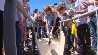 Астраханские школьники выпустили в реки свыше 100 тысяч осетров и 600 белуг