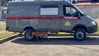 Астраханский кинолог Росгвардии завоевал золото на чемпионате Южного округа