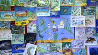 В Астраханской области стартовал конкурс «Чистый взгляд»