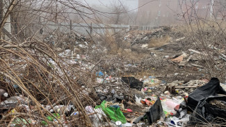 В Астрахани ликвидировали свалку около Лебединого озера