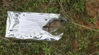 В Астраханской области в заказнике вакцинируют диких животных