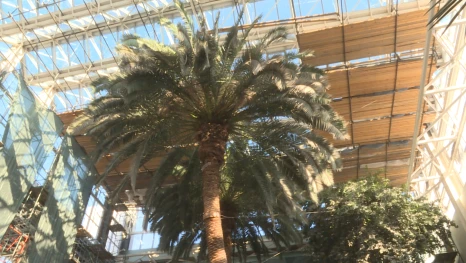 В Астрахани осудили директора стройфирмы за дачу взятки при реконструкции кинотеатра «Октябрь»