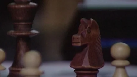 В Астрахани проходит шахматный фестиваль