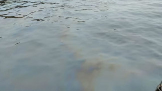 На реке Волга в Астрахани обнаружена маслянистая плёнка шириной до 15 метров