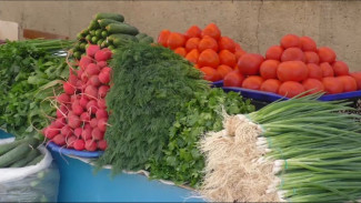 Астраханцев приглашают посетить “Зелёные ряды”